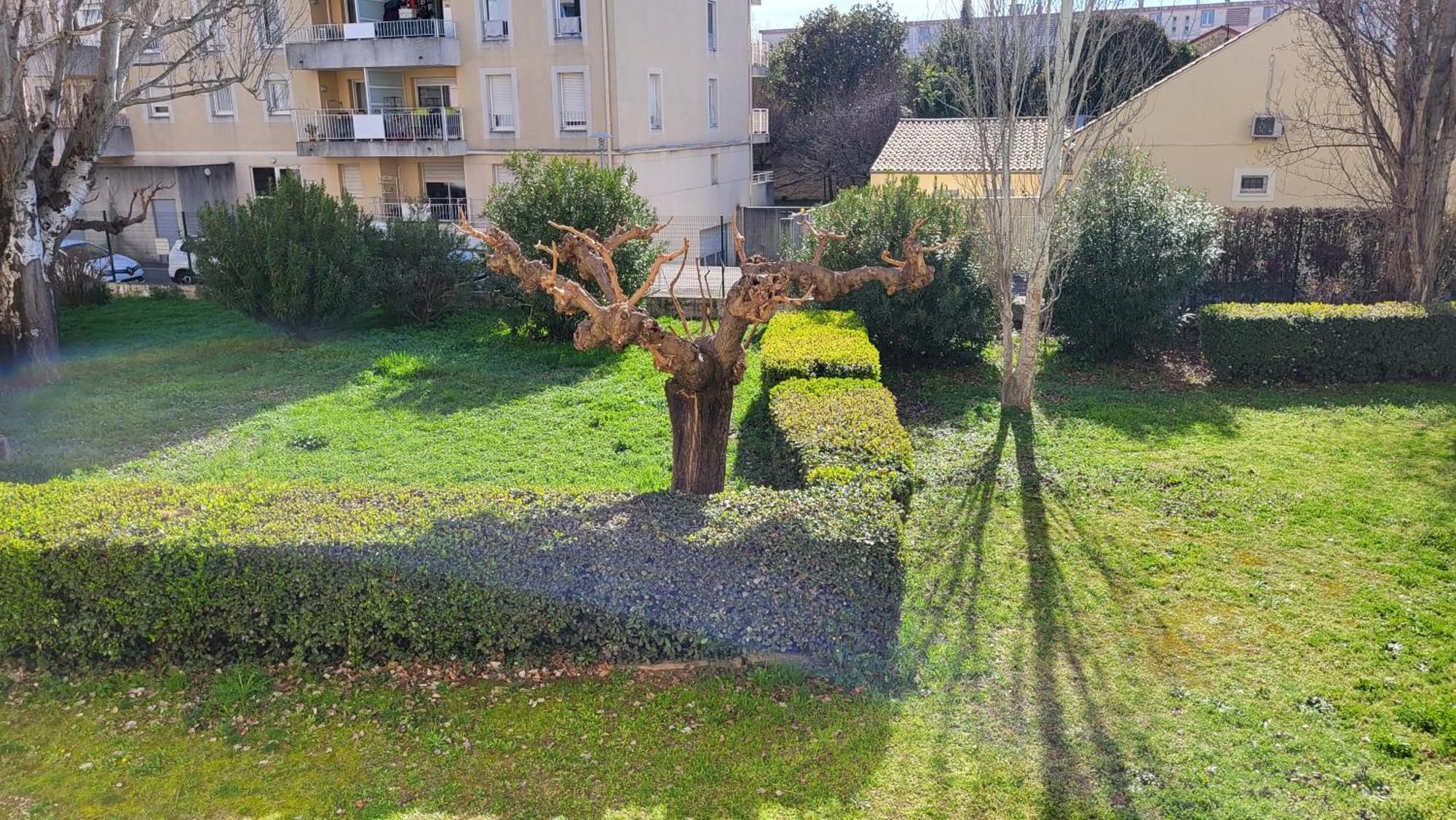 Les Tourterelles D'Avignon Apartment ภายนอก รูปภาพ